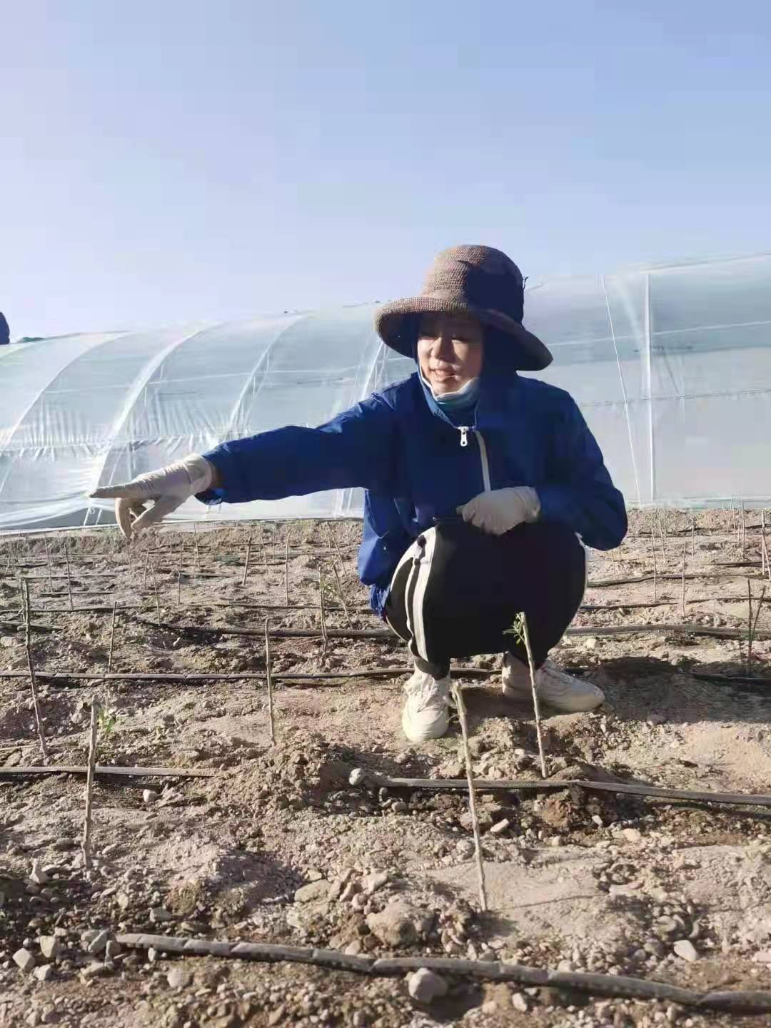 许昌种植什么作物_许昌种植致富果_许昌种植结构