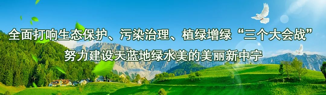 种植致富项目宁县_农村致富新项目种植业_种植20亩地致富案例