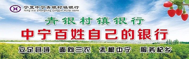 种植致富项目宁县_农村致富新项目种植业_种植20亩地致富案例