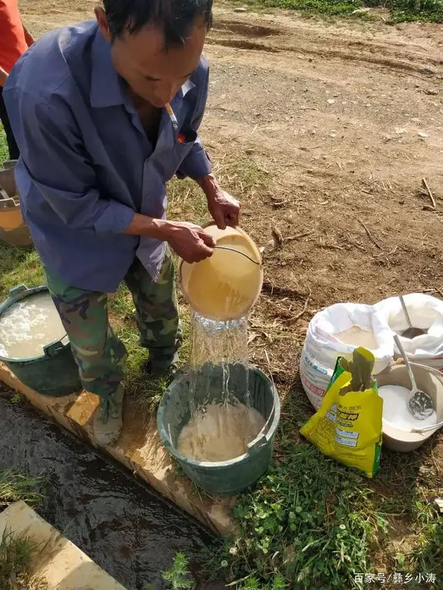 农村种植烤烟致富_致富种植农村烤烟的意义_烤烟种植助力乡村振兴