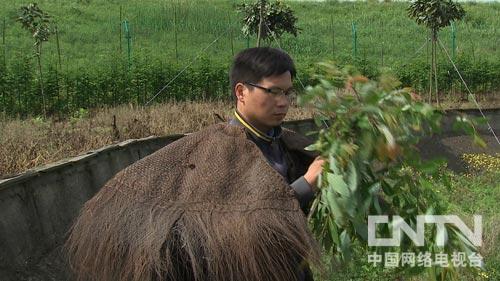 致富经甲鱼全部视频_致富经甲鱼张为明_致富经鱼鳖混养视频