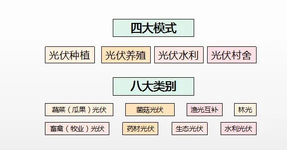 致富经水库养鱼_致富经养鱼致富视频_塌陷区养鱼致富经