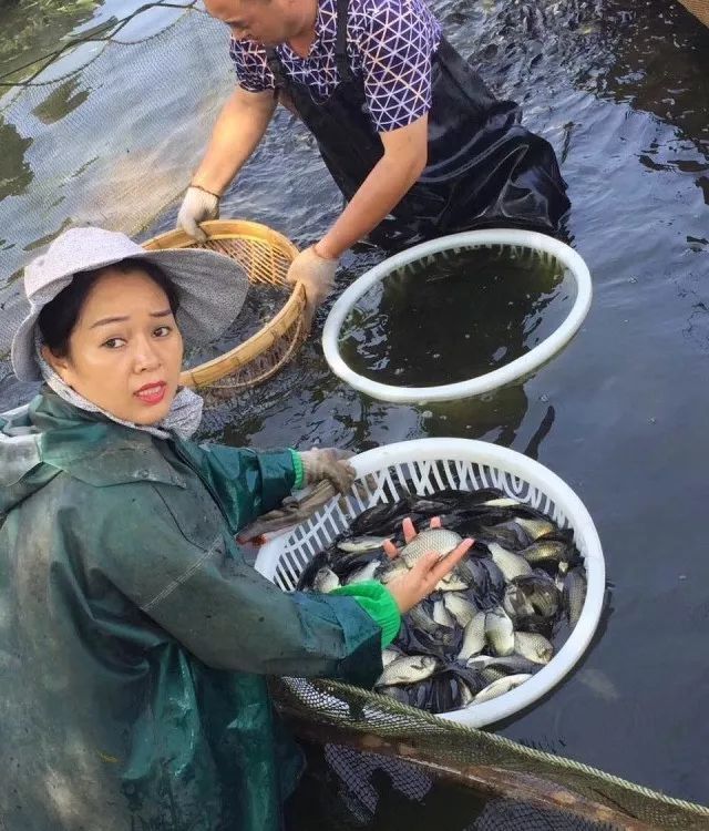 塌陷区养鱼致富经_致富网养鱼_致富经养鱼致富视频