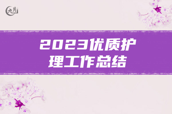 2023优质护理工作总结