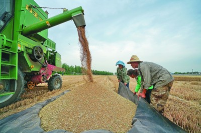 优质粮食工程总结_优质粮食工程典型经验交流_粮食产业发展典型经验材料