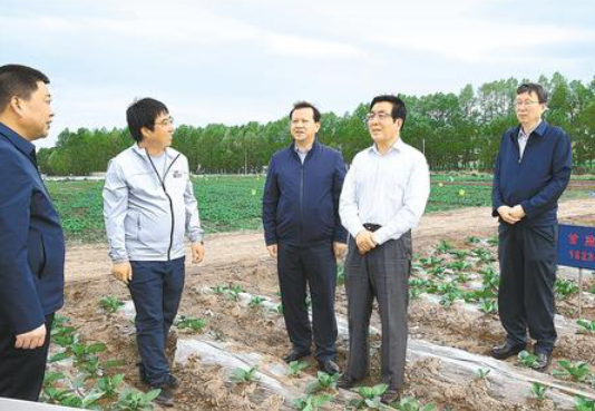 种植苹果致富文章_致富经种植苹果发财视频_种植苹果致富的人