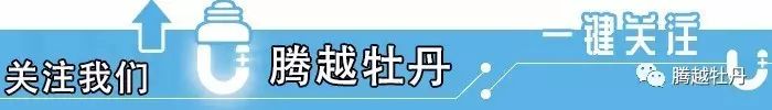 牡丹如何种植技术_牡丹种植技术视频陆梅_牡丹种植技术要点及方法技巧