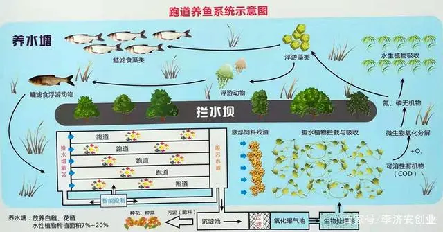 养殖行业致富快报_致富养殖好项目大全_致富养殖什么最赚钱