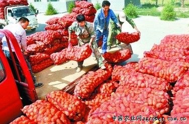 雷霆战机贵族价格表