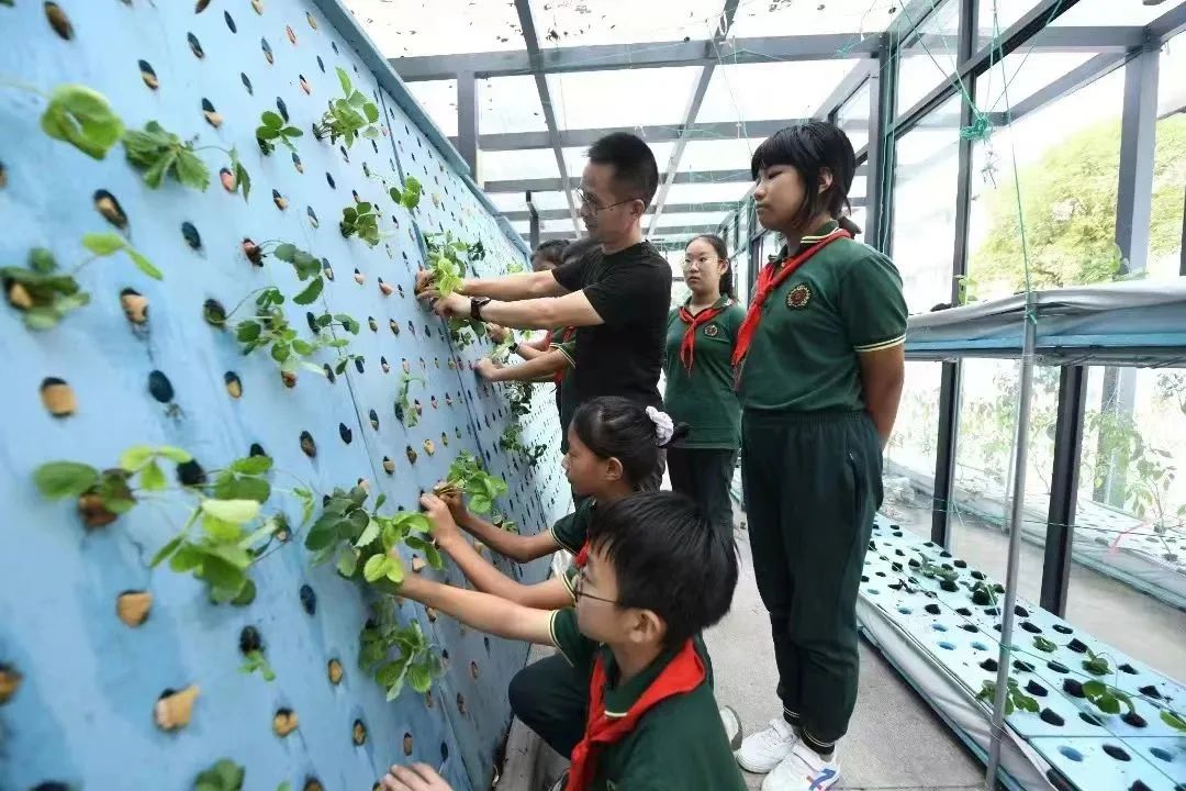 规划的经验启示_借鉴优质规划经验分享_以规划引领高质量发展