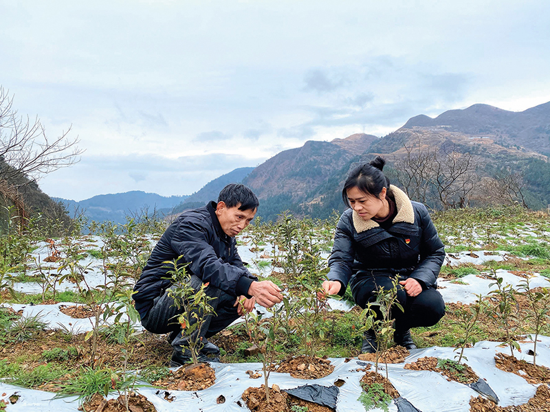 引进优质民办教育的利弊_引进民办学校的好处_引进民办优质学校经验材料