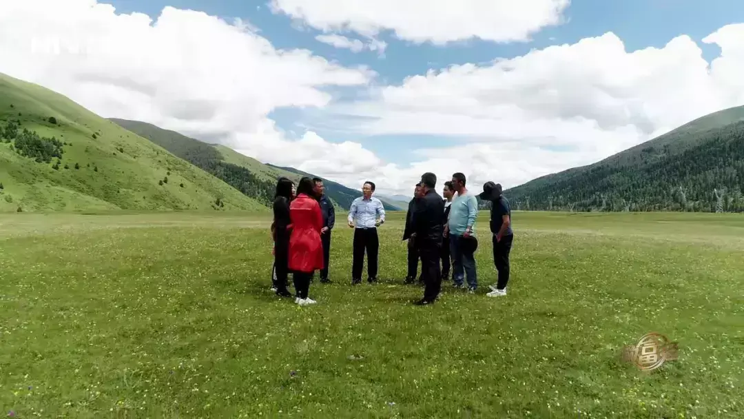 种蔬菜致富经_致富蔬菜种植农民图片_农民种植致富蔬菜