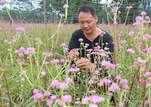 董正武：从中药材种植能手到致富带头人