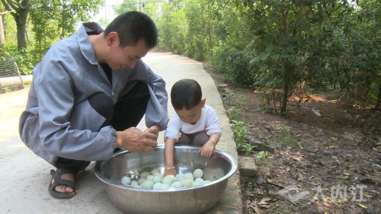 致富农村养殖种植_农村致富项目养殖业_土地养殖致富吗