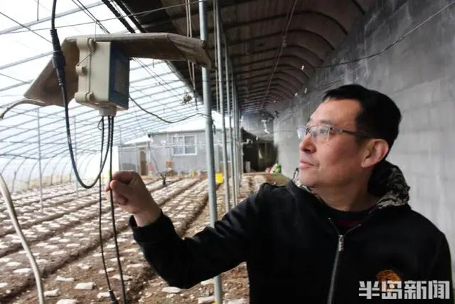 广西食用菌种植合作社_广西食用菌产业_广西种植食用菌致富吗