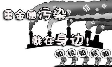 致富经硒鸡蛋生产技术_致富鸡蛋生产技术硒含量多少_富硒鸡蛋开发方案