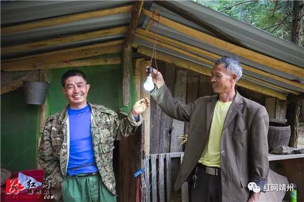 林地散养土鸡_林下土鸡养殖技术_山林土鸡养殖视频