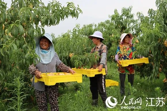 养殖蜈蚣效益怎么样_养殖蜈蚣指导技术要点_蜈蚣养殖技术指导