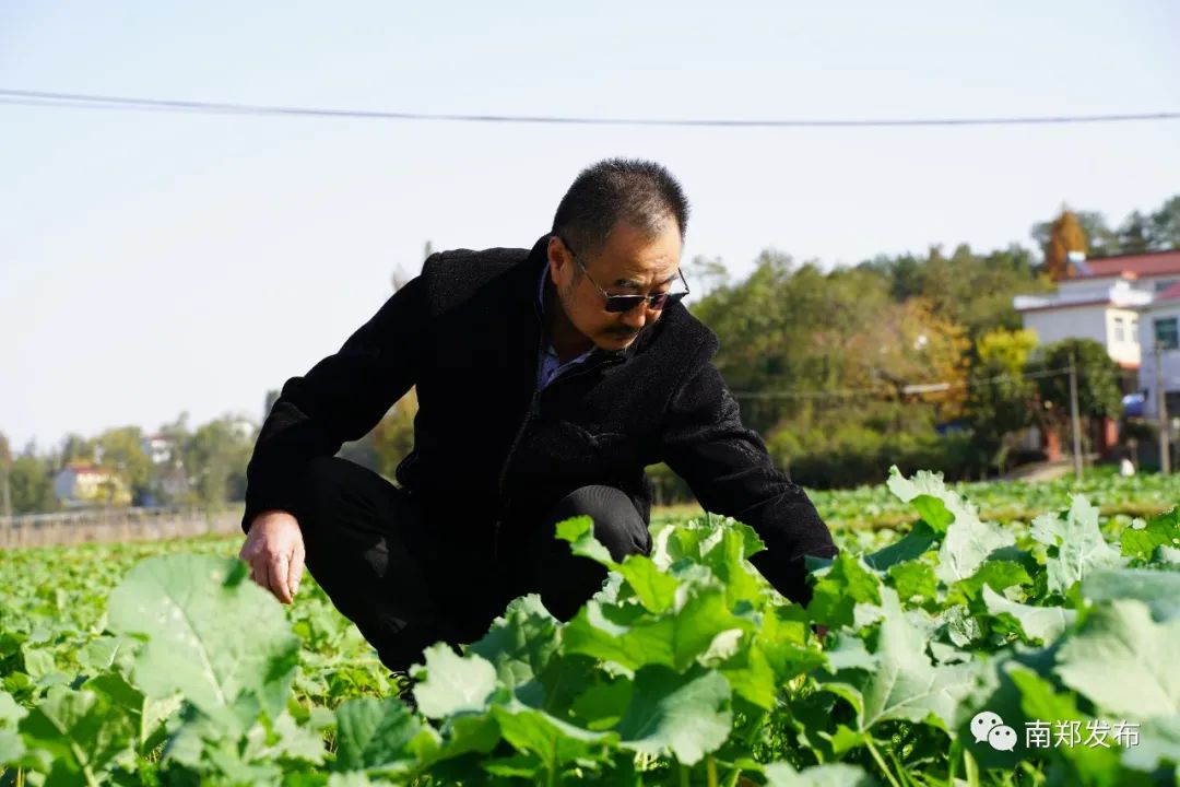 广西食用菌生产基地_广西种植食用菌致富吗_广西食用菌种植合作社