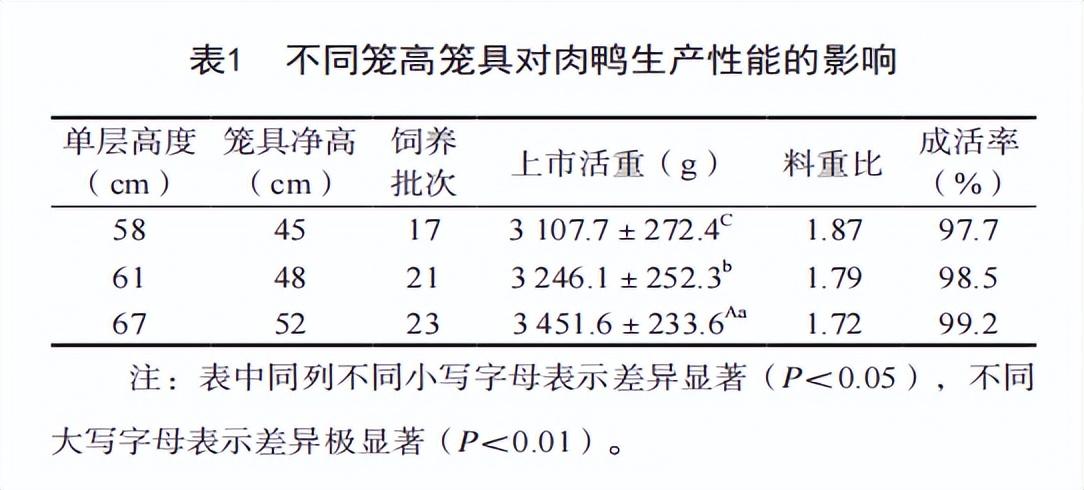 肉鸭养殖视频肉鸭养殖技术_2021年肉鸭养殖前景如何_肉鸭养殖技术网