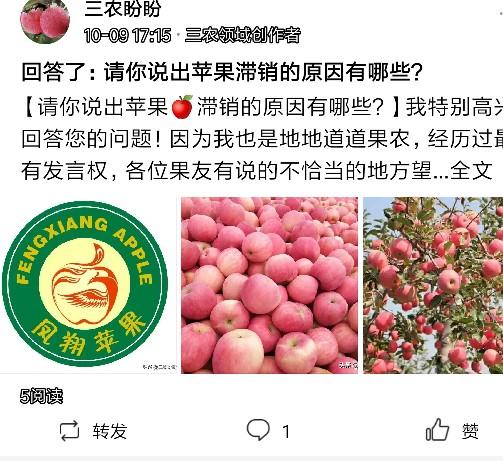 提交优质回答_领域优质回答经验分享_怎么获得优质回答