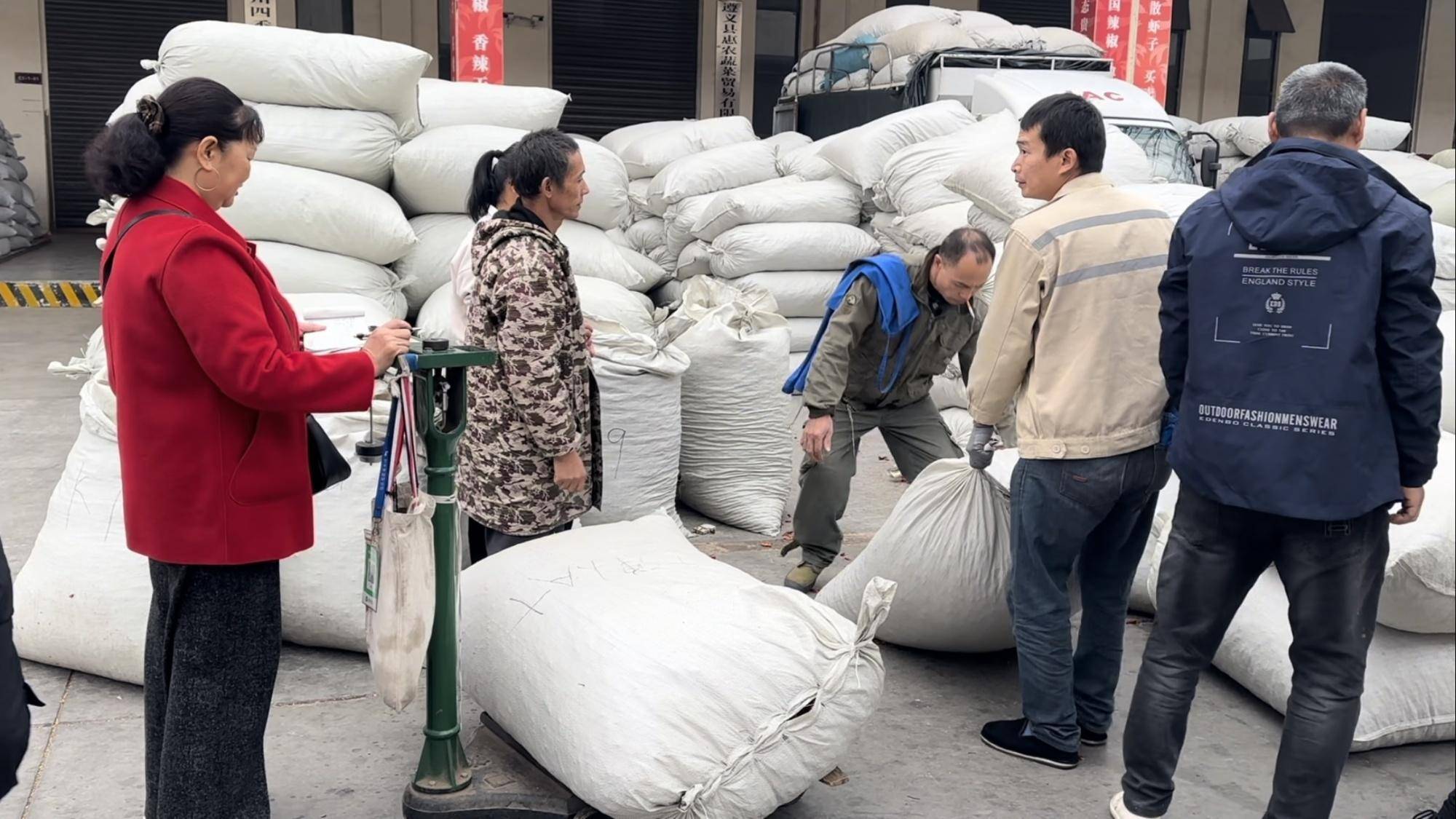 缅甸辣椒几月份上市_缅甸辣椒什么时候收获_缅甸种植辣椒致富