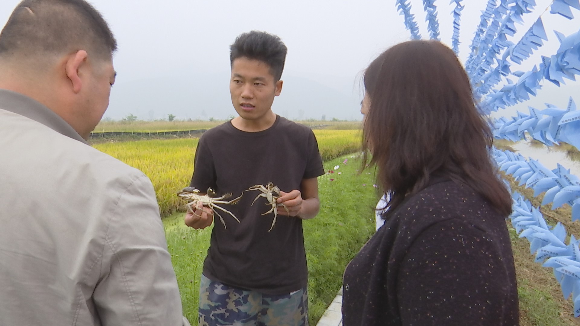 水稻致富那人叫啥名_致富水稻种植视频_水稻种植 致富