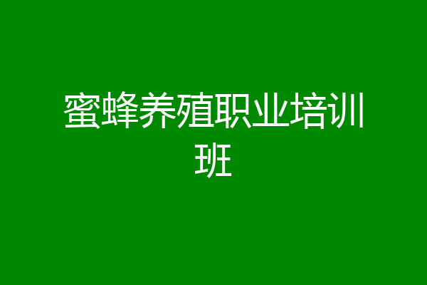 蜜蜂养殖职业培训班