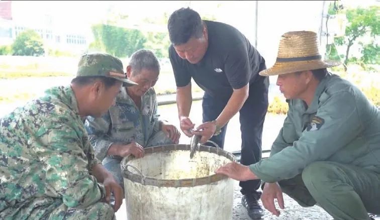 致富养殖黑鱼图片_黑鱼养殖致富_致富养殖黑鱼怎么样