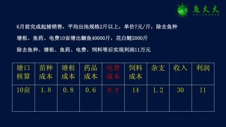 养殖鮸鱼_养殖鳇鱼_致富经鮰鱼养殖