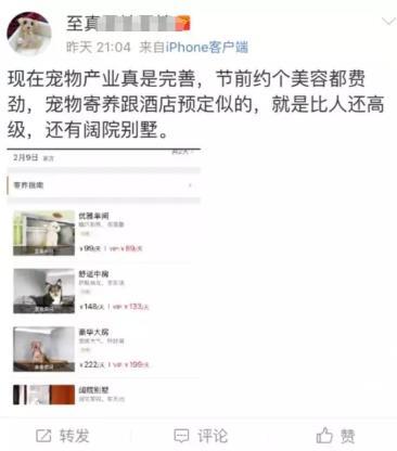 养殖宠物致富项目_致富养殖宠物项目怎么样_致富养殖宠物项目有哪些