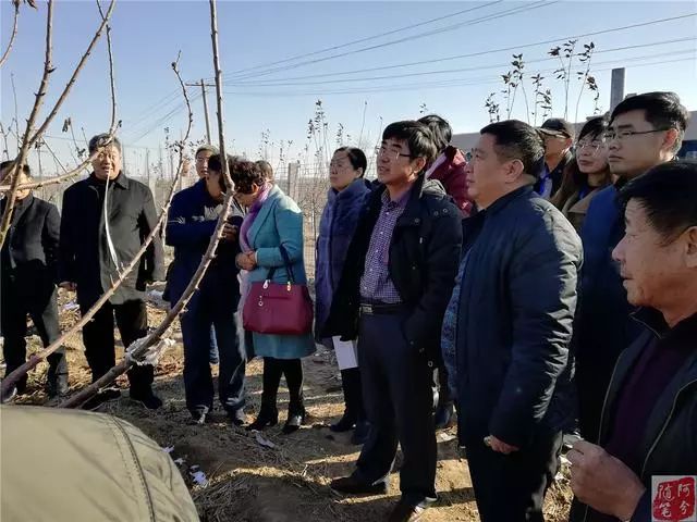 致富经大樱桃种植视频_致富种植樱桃大棚视频_种植大樱桃致富