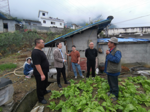 蜜峰养殖技术_怎样养蜜峰_蜜峰养植技术