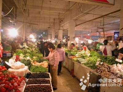 青韭和韭菜的区别：山东省阳谷县天椒通过绿色食品认证（图）