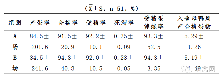 鸭子养殖技术ppt_鸭子养殖技术ppt课件免费_鸭子养殖技术鸭子养殖方法