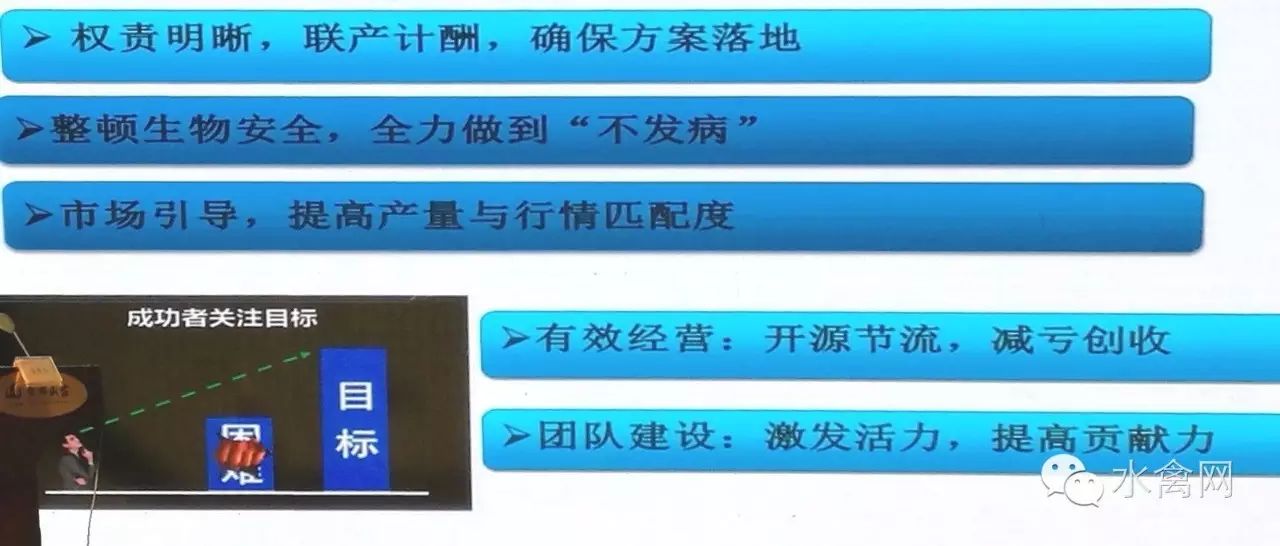 鸭子养殖技术ppt_鸭子养殖技术ppt课件免费_鸭子养殖技术鸭子养殖方法