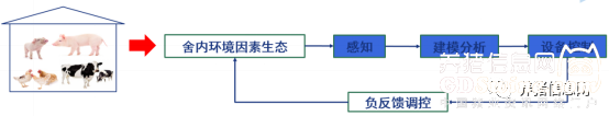 香椿树林散养鸡_香椿鸡养殖技术_养殖鸡香椿技术培训