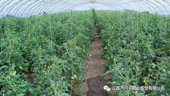 种植 养殖技术网站_种植养殖创业网_养殖种植平台