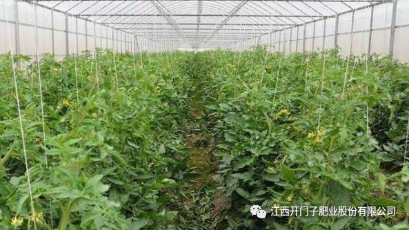 养殖种植平台_种植养殖创业网_种植 养殖技术网站