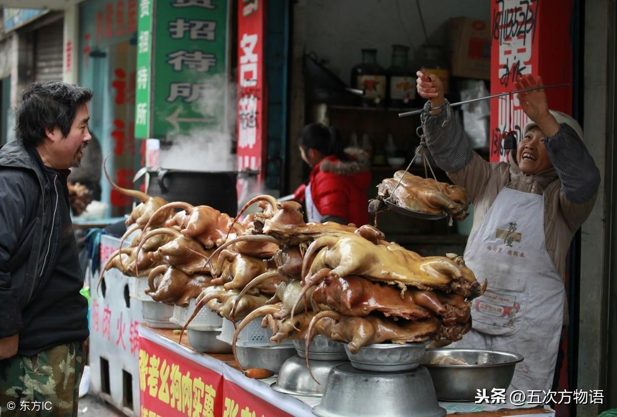 肉狗养殖技术书_肉狗养殖技术图说_养殖肉狗视频全过程