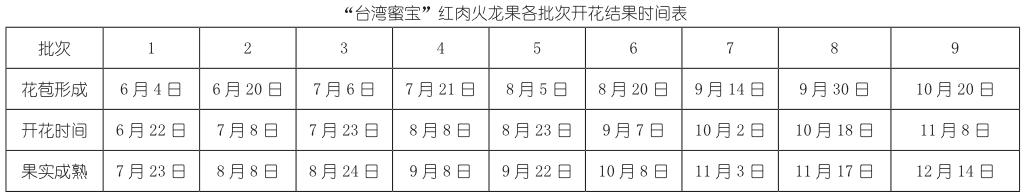 “台湾蜜宝”红肉火龙果引种表现及栽培技术