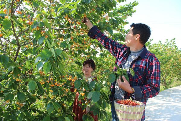 种植养殖致富之路_养殖致富经_致富养殖什么最赚钱