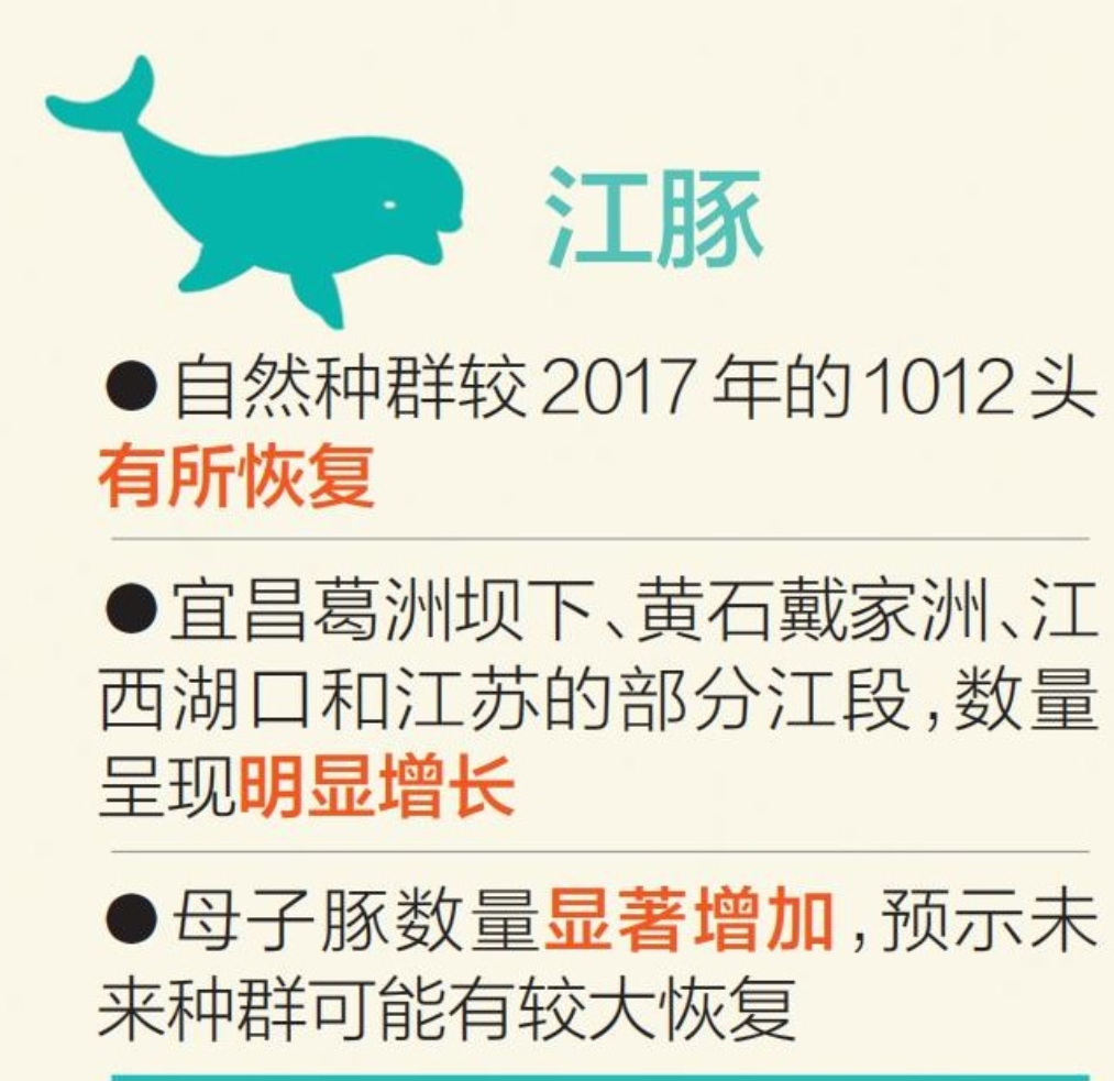 【长江鱼类资源最新数据发布　总量约8.86亿尾　干流有望8年后实现资源量平衡】