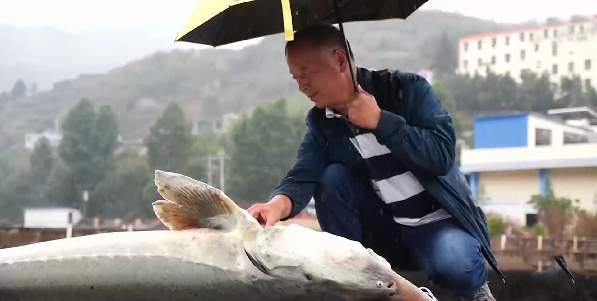 一个人养殖致富项目_致富养殖个人项目有哪些_致富养殖好项目