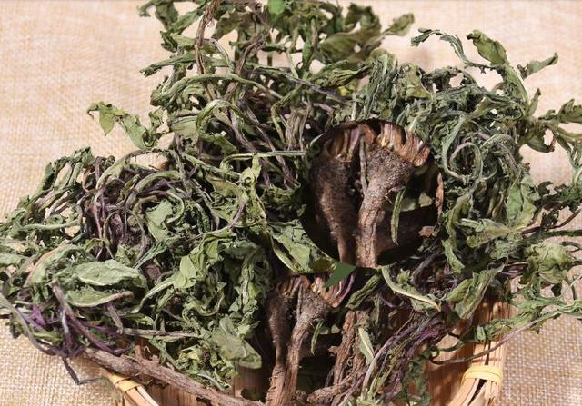浦公英种植枝术_浦公英的种植技术_天津市浦英机械有限公司