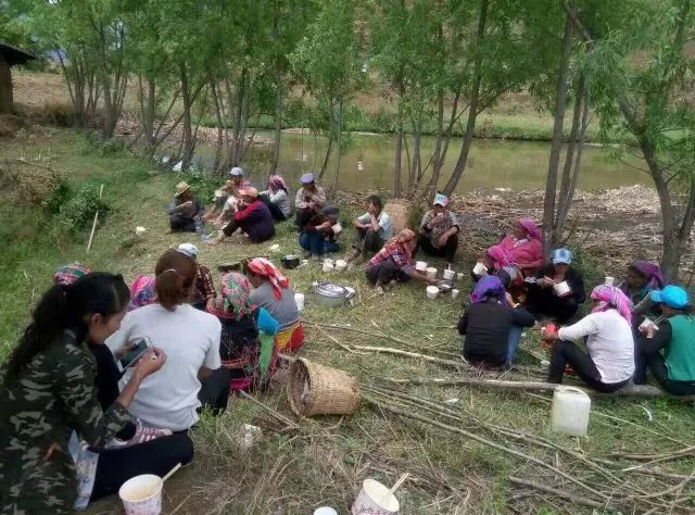 种植中药材致富快车_致富经药材种植业完整版_中药材种植致富经