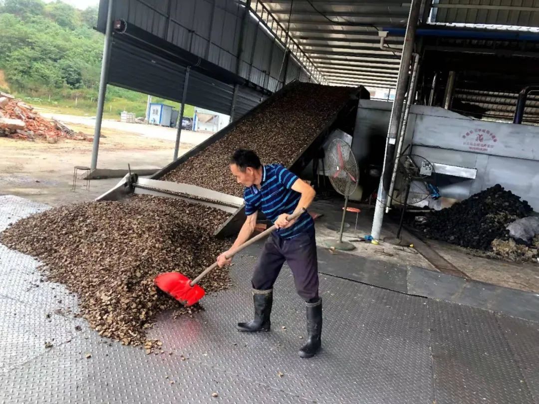 种植中药材致富快车_药材致富经_致富经药材种植视频