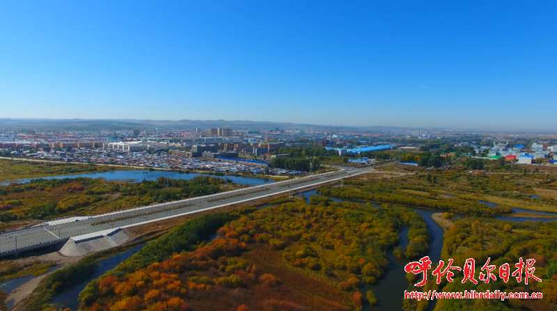 农村种植什么能致富_牙克石种植致富_牙克石种植结构