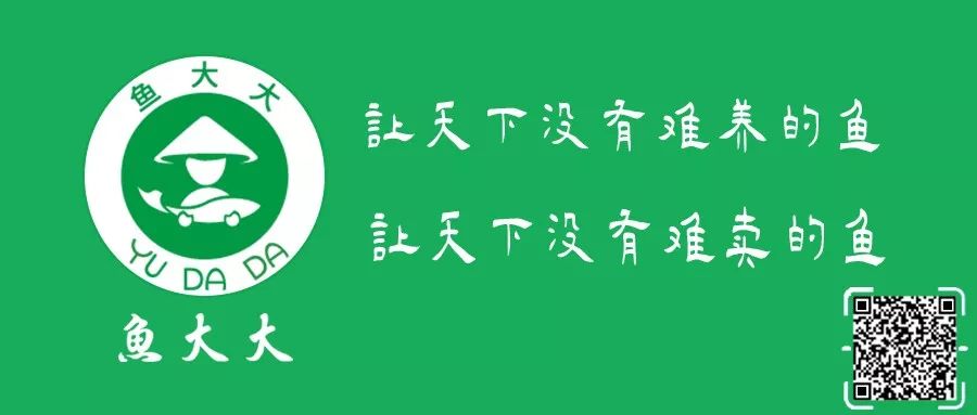 亩利润可达9万多的鳝鱼养殖，如何保证放苗成活率？视频回顾！