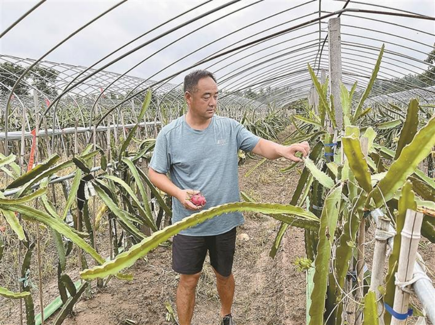 特色种养“金钥匙” 打开乡村“致富门”